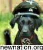 "Nazi Dog" - (c)  2003 by NNN