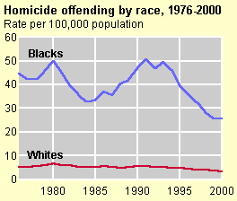 Homicide by race chart