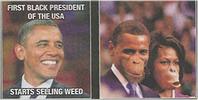 Obama cartoons
