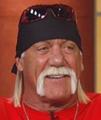 Hulk Hogan 