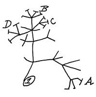 "Darwin evolution tree"