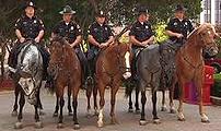 Dallas Mounted Police