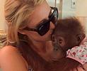 Paris Hilton and primate