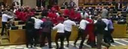 South African Parliament brawl