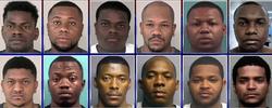 12 of 17 black criminals