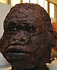 chocolate negro head