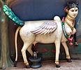 Hindu cow god