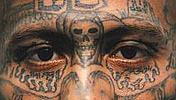 MS-13 Gangster tattoos