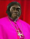 Monkey Bishop