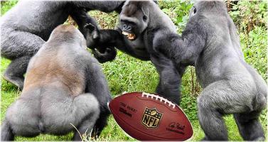 NFL apes