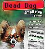 small dead dog