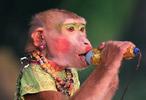 monkey singer