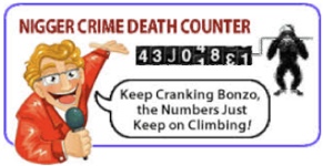 Nigger Crime Death Counter