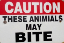 Animals-may-bite
