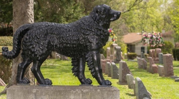 dog cemetery