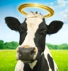 heathen cow god idol