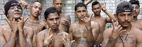 MS-13-gangsters