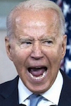 Biden Crime Family