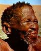 Bushman