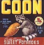 "coon"