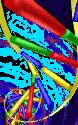 DNA