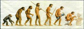evolution
