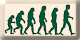 'evolution'