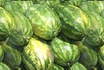 "waddymelons"
